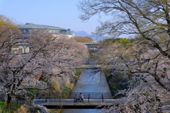 前橋公園④