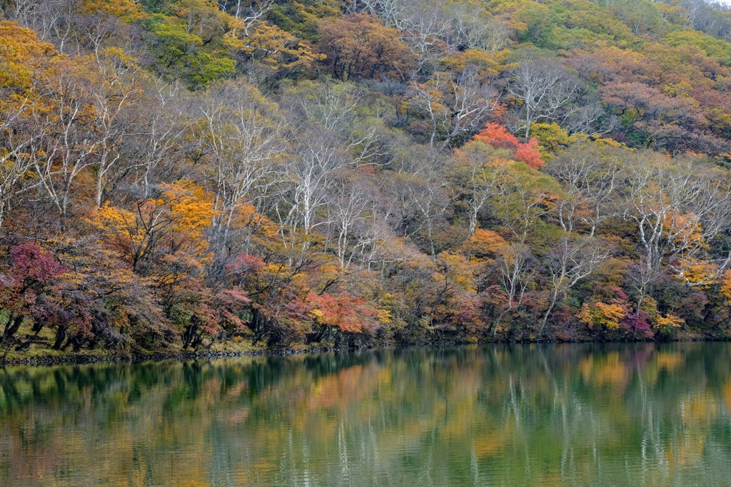 赤城山紅葉⑤