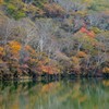 赤城山紅葉⑤