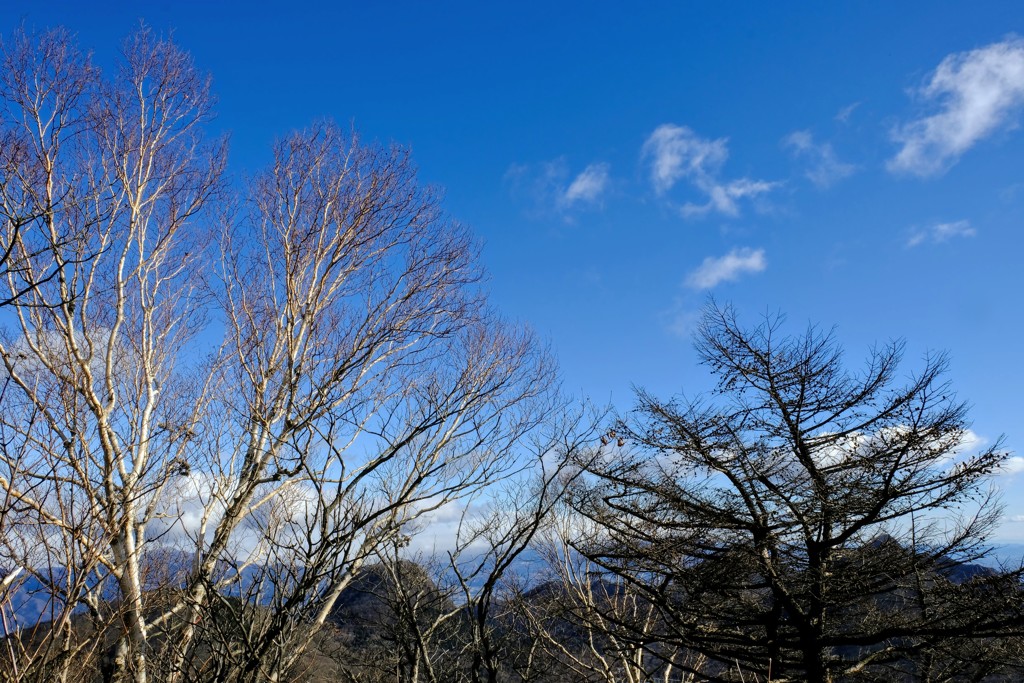 冬空