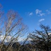 冬空