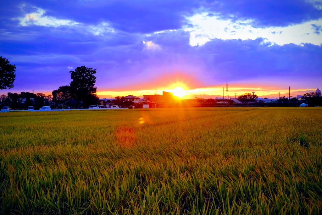 ある日の夕暮れ