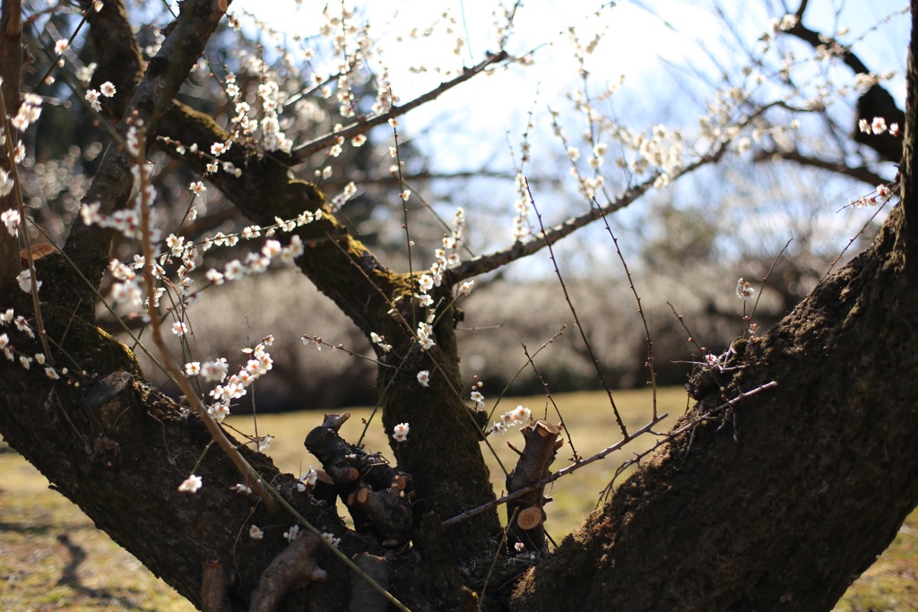 おつかれさま⑤