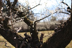 おつかれさま⑤