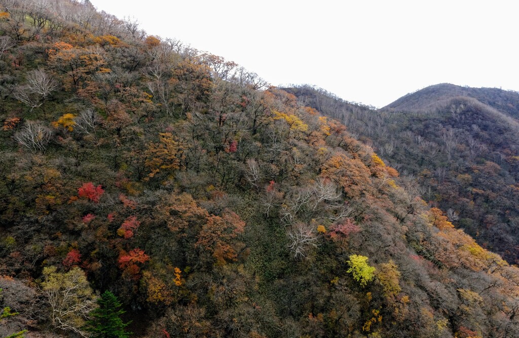 赤城山の紅葉②