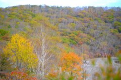 赤城山の紅葉⑥