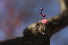 存在感