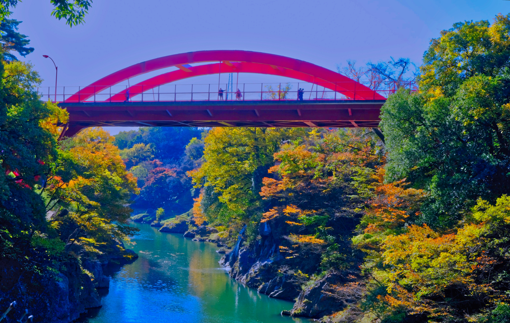 高津戸峡の紅葉②
