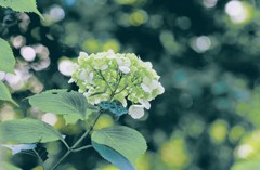 休息