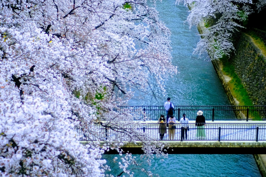 前橋公園③