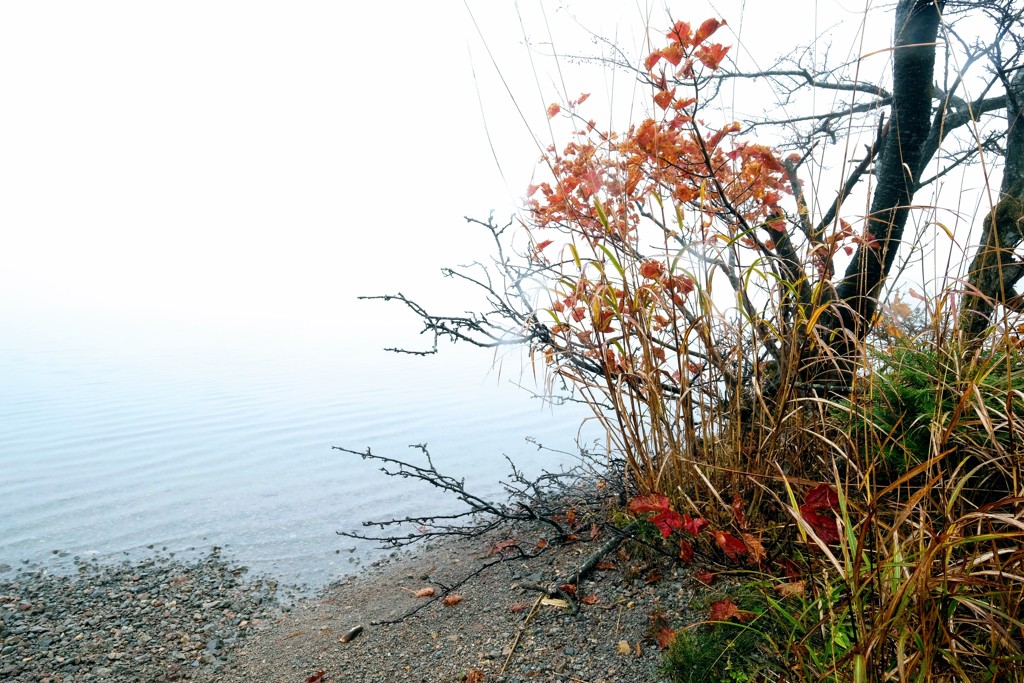 赤城山紅葉⑪