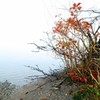 赤城山紅葉⑪