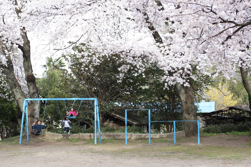 春はいいな～