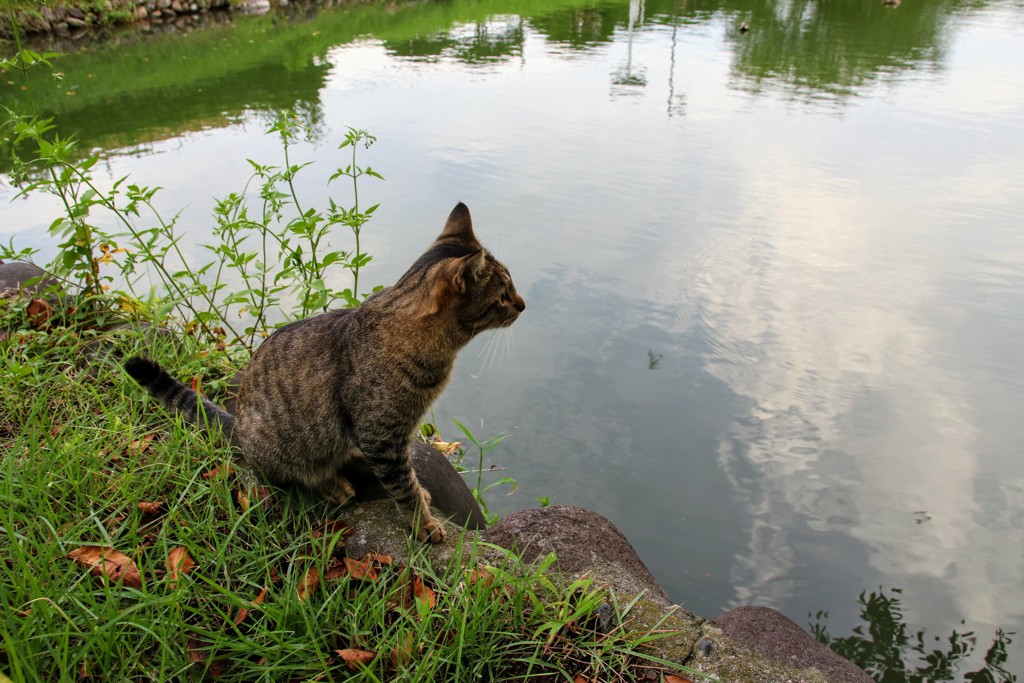 物思い