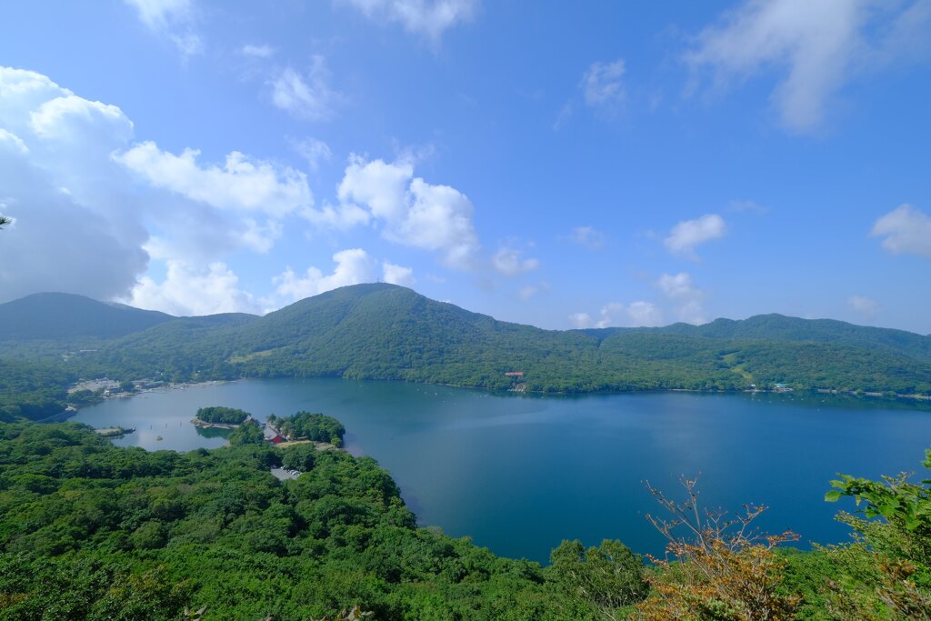 大沼