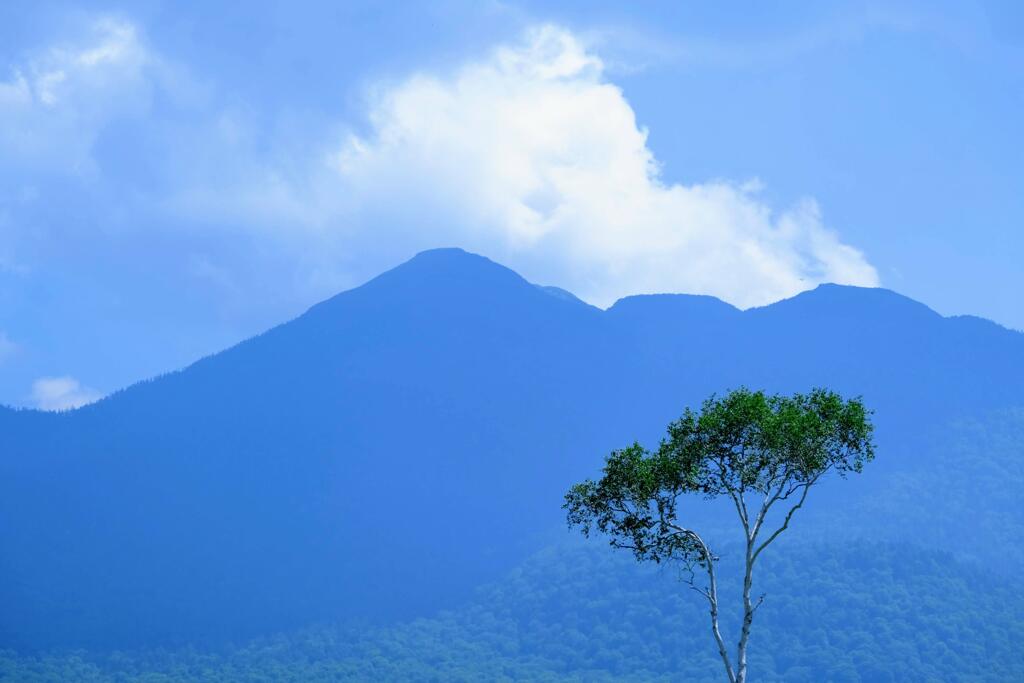 夏の思い出