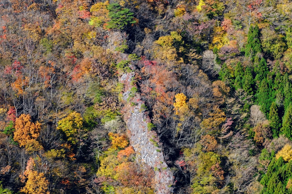 子持山紅葉②