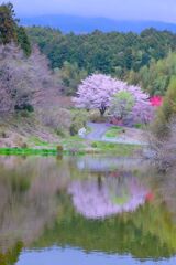 山里