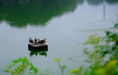 初秋の大室公園①