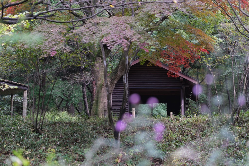 赤城自然園⑤