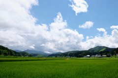 山間の田園
