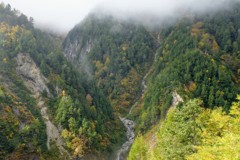 黒部の紅葉②