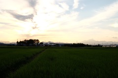浅間遠望