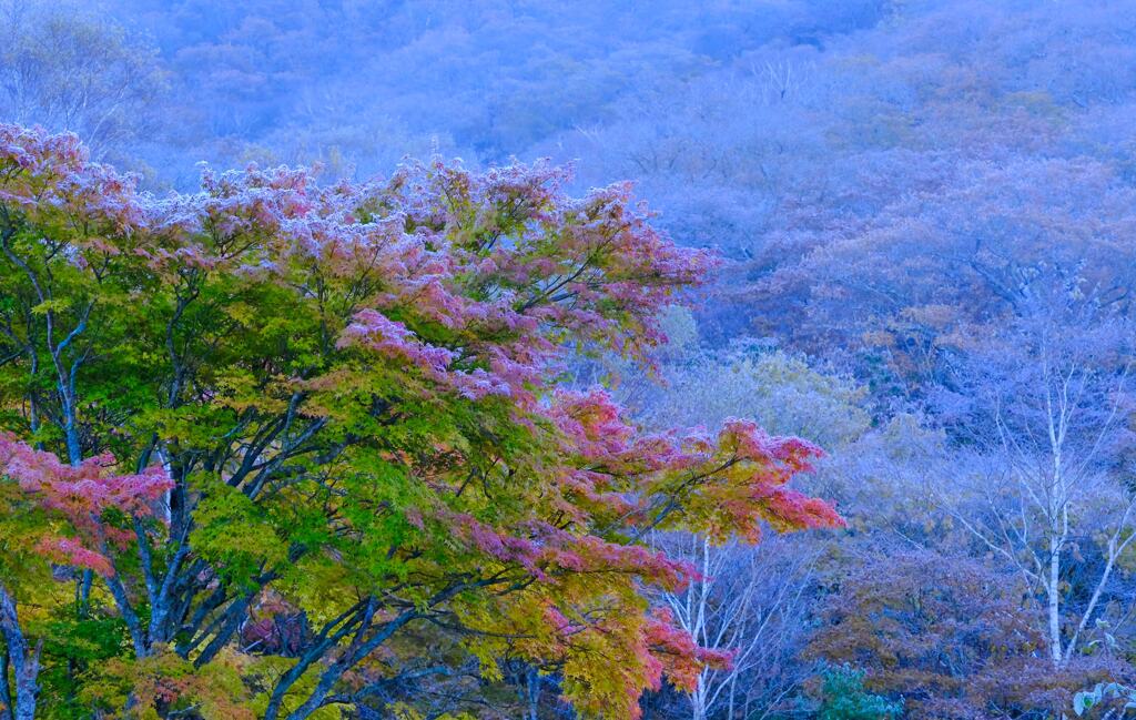 赤城山の紅葉①