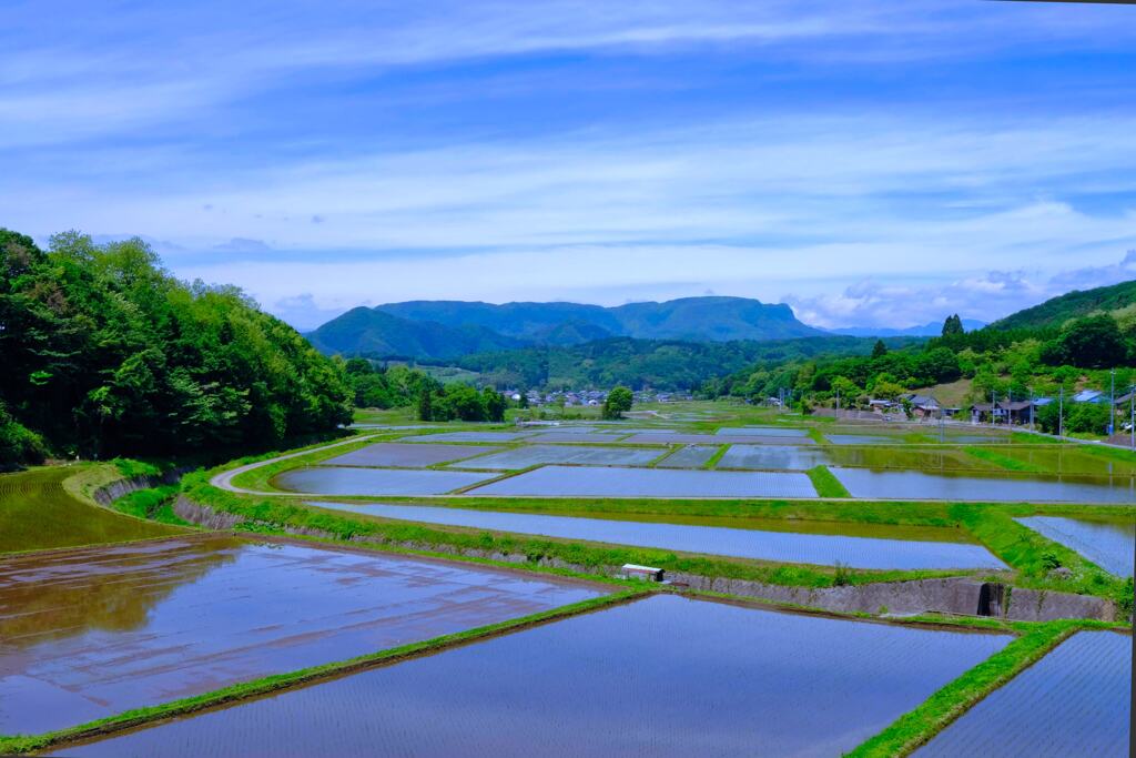 田園風景①