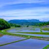 田園風景①