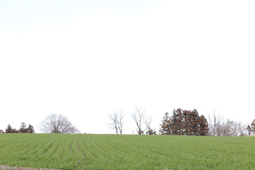 ちょっと気になる景色