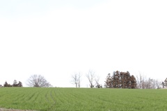 ちょっと気になる景色