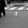 散歩