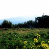 ある日の光景