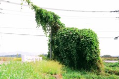 怪獣出現