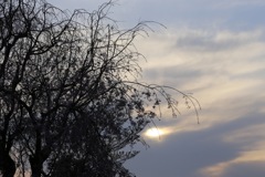 夕焼け