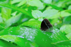 雨天の中で