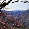 袈裟丸山にて①
