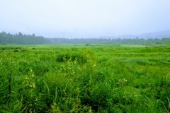 みちのくの風景⑤