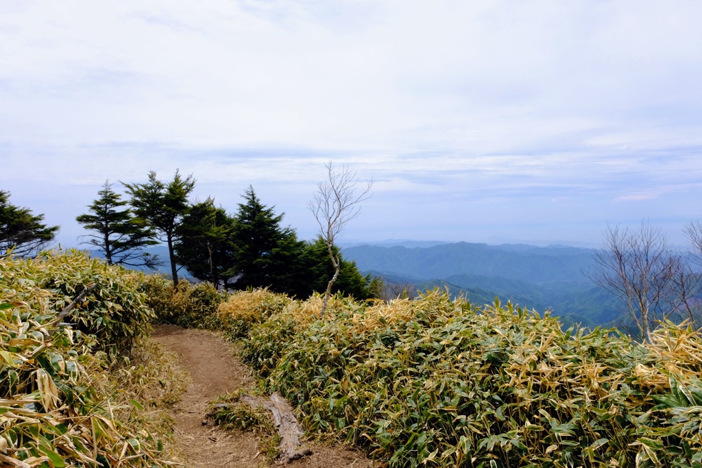 登山道②