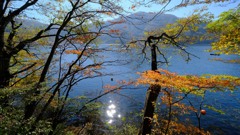 榛名湖の紅葉②