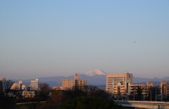 穏やかな年末①