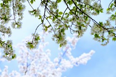 ファンタジック⑤