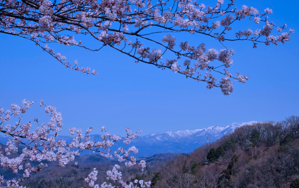 前線北上