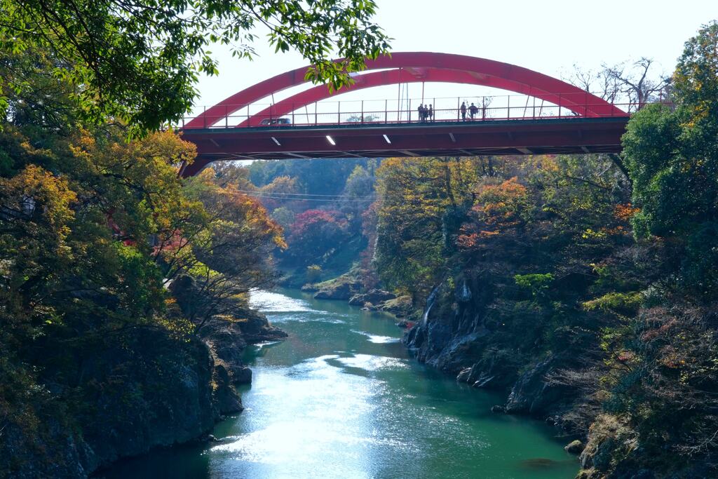 高津戸峡の紅葉①