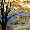 桜山公園②