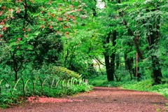 赤城自然園