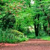 赤城自然園