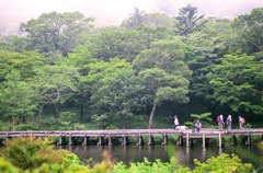 夏の想い出①