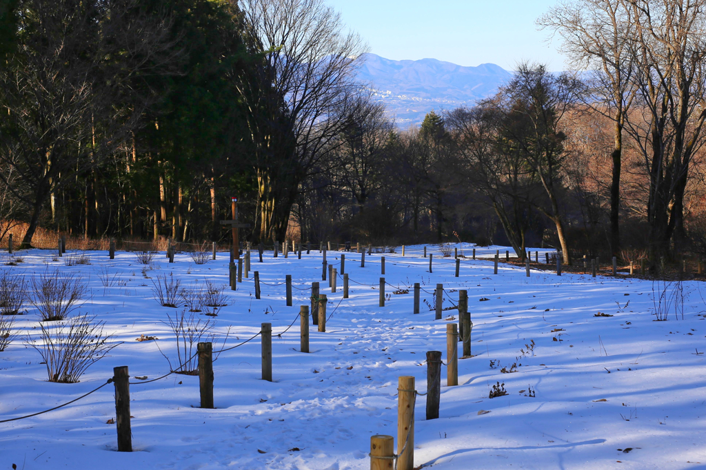 赤城自然園③